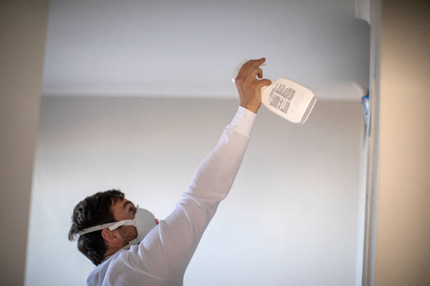 Best Emergency Mold Removal  in Marion, MS