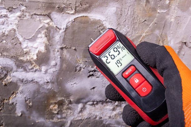 Mold Removal Process in Marion, MS