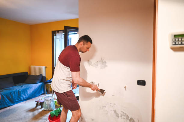 Marion, MS Mold Removal Company