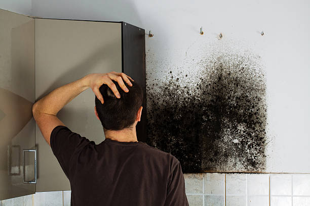 Best Crawl Space Mold Removal  in Marion, MS